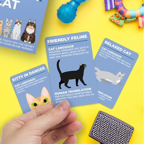 Kort Speak Cat